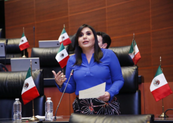 Mayuli Martínez pide a SEMARNAT y PROFEPA proteger delfines en peligro