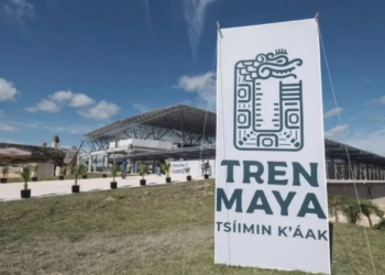 Semarnat dañara selva para terminal de carga del Tren Maya en Cancún