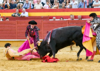 Torero Bruno Aloi sufre cornada grave en plaza de toros de Madrid