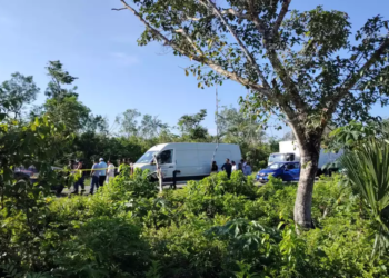 Tragedia en carretera Cancún – Leona Vicario: hombre muere atropellado al amanecer