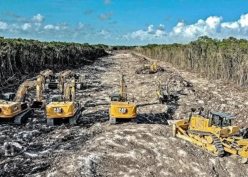 Semarnat avala desmonte de selva para terminal de carga del Tren Maya en Cancún