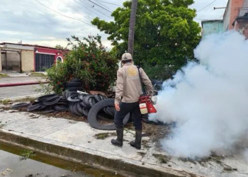 Playa del Carmen enfrenta al dengue