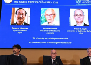 Premio Nobel de Química 2025: reconocen a los creadores de los materiales del futuro