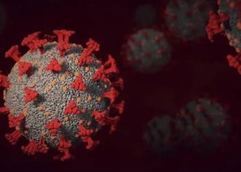 Nanoanillos de proteínas podrían detectar y neutralizar el COVID-19