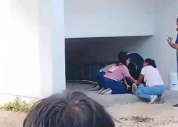 Conalep se pronuncia al respecto tras la caída de un estudiante en Cancún