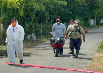 Crematorio Xibalbá: hallan más de 150 cuerpos de mascotas tras fraude a clientes