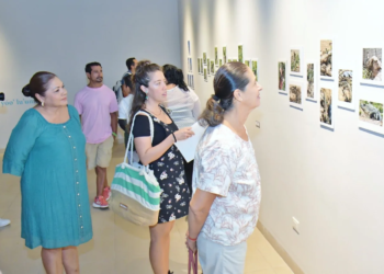 Cozumel inaugura “Iguanas: Reyes de la Tierra y la Consciencia Humana”