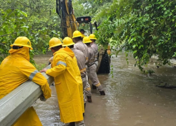 CFE logra 91% de avance en emergencia eléctrica nacional