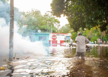 SESA refuerza combate al mosquito tras lluvias en Quintana Roo