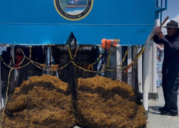 Detectan más de 100 embarcaciones ilegales en el Parque Nacional de Cancún ante falta de sanciones efectivas