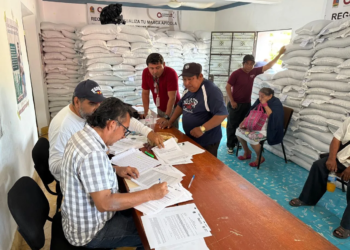 SEDARPE impulsa producción agrícola con entrega de semillas mejoradas