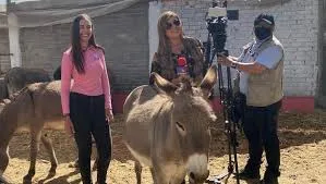 Lupita Jones exige justicia tras amenazas contra activista del refugio “Seres Libres”