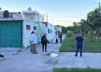 Hallazgo de un hombre sin vida en la Lombardo Toledano moviliza a las autoridades