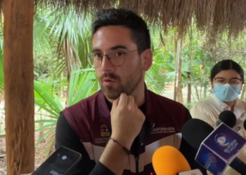 Instalan mesa contra la tala ilegal en Quintana Roo