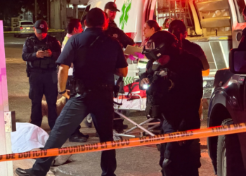 Lo atacan hasta morir