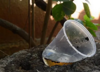 Aumento de hasta un 30% de basura durante la temporada vacacional de invierno en Cancún