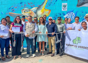 Renace Playa Tortugas: comunidad, empresas y autoridades se unen por un Cancún más sostenible