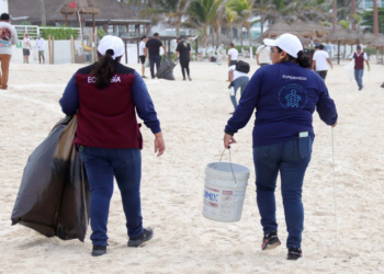 Mantienen operativo permanente para garantizar playas limpias ante recale atípico de sargazo esta temporada
