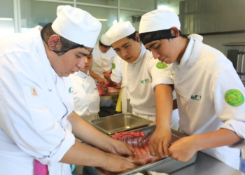 UT Cancún BIS abre proceso de captación con inscripción directa a nueve licenciaturas