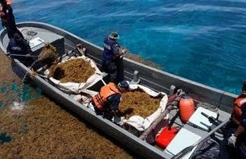 Quintana Roo avanza en la conversión del sargazo a biogás como opción de mayor rentabilidad