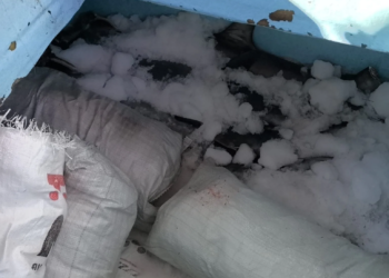 Semar asegura embarcación con 130 kilos de tiburón en reserva de Islas Marías