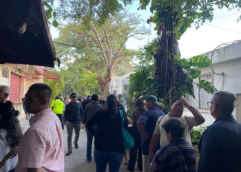 Tras alta demanda, amplían fichas de 35 a 40 diarias para CURP biométrica en Cancún