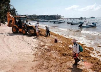 Quintana Roo recolecta más de 2 mil 400 toneladas de sargazo en lo que va de 2026