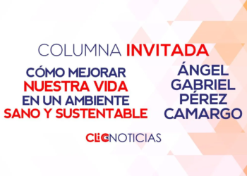 Violencia y Medio Ambiente: El costo invisible de un fin de semana