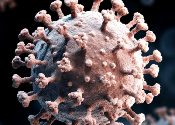 “Guardemos la calma, tenemos vacunas”: Sheinbaum llama a vacunar a niños ante brote de sarampión