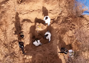 Las fosas clandestinas en México 2023-2024