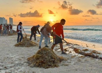 250 trabajadores contra el sargazo, pero Cancún sigue sin una solución de fondo