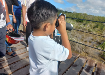 Pequeños Guardianes: IBANQROO lleva educación ambiental a Bacalar
