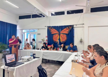 Cozumel se consolida como sitio de reproducción de la mariposa monarca en 2026