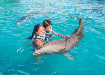 The Dolphin Company fortalece su presencia en Latinoamérica tras ANATO 2026