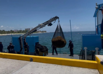 Megaproyecto para transformar el sargazo en Quintana Roo avanza: PODECIBI espera aval clave para arrancar 2 Megaproyecto para transformar el sargazo en Quintana Roo avanza: PODECIBI espera aval clave para arrancar