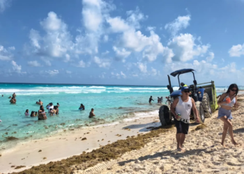 Sargazo invade Cancún antes de tiempo: ya recolectan más de 1,500 toneladas en playas 2 Sargazo invade Cancún antes de tiempo: ya recolectan más de 1,500 toneladas en playas
