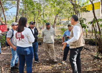 Imparten capacitación sobre arbolado urbano