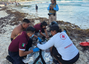 Casi se lo lleva: guardavidas rescatan a bañista en zona hotelera