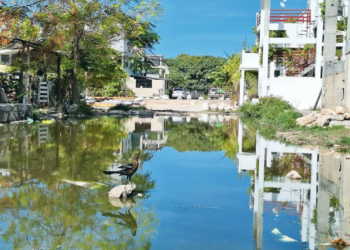 Seis fraccionamientos en rezago urbano; Urbi, solo uno de los casos sin solución en Cancún 4 Seis fraccionamientos en rezago urbano; Urbi, solo uno de los casos sin solución en Cancún