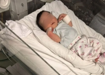 Adolescente pide ayuda a ChatGPT para dar a luz en secreto y abre debate sobre embarazo adolescente 7 Adolescente pide ayuda a ChatGPT para dar a luz en secreto y abre debate sobre embarazo adolescente