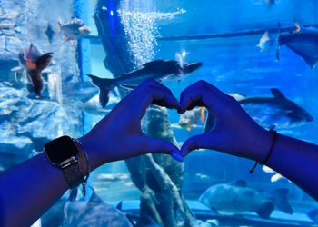 ¡Quedan días! Aún puedes aprovechar las vacaciones sin gastar de más: las ideas de Profeco para disfrutar en familia 1 vacaciones