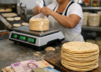 Precio de la tortilla sube en Chetumal y golpea el bolsillo de las familias 2 Precio de la tortilla sube en Chetumal y golpea el bolsillo de las familias
