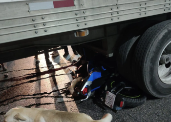 Motociclista pierde la vida tras brutal choque contra tráiler en la López Portillo