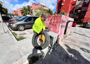 Refuerzan descacharrización para frenar avance del dengue en Cancún, suman 55 casos en el estado la mayoría en Cancún 4 descacharrización