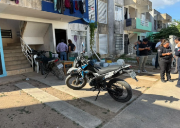 Indignación en Cancún: denuncian brutal agresión contra una perrita