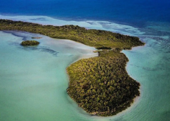 Descubre Tamalcab la joya natural de Chetumal con avistamiento de delfines