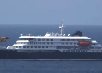 Brote de hantavirus en crucero: confirman que es la cepa "Andes" de Argentina y descartan una nueva pandemia 5 Brote de hantavirus en crucero: confirman que es la cepa “Andes” de Argentina y descartan una nueva pandemia