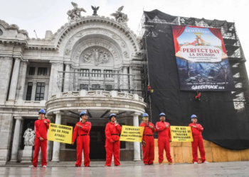 “¡Bellas Artes se convierte en campo de batalla!” Greenpeace irrumpe contra megaproyecto de Royal Caribbean en Mahahual
