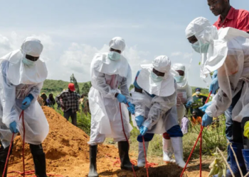 Ébola se agrava: OMS eleva a 220 las muertes en República Democrática del Congo