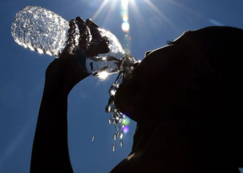 Ola de calor mortal azota Europa y el mundo: récords en Francia ya dejan víctimas